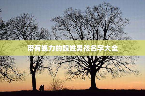 带有魄力的魏姓男孩名字大全