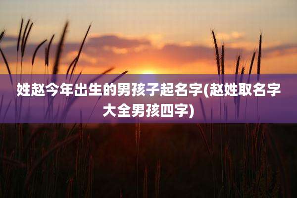 姓赵今年出生的男孩子起名字(赵姓取名字大全男孩四字)