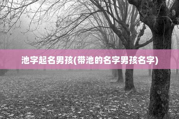 池字起名男孩(带池的名字男孩名字)