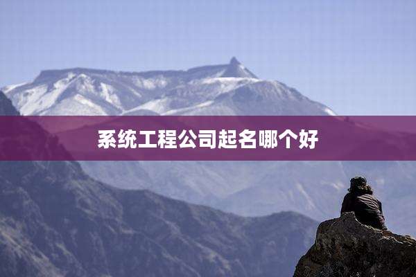 系统工程公司起名哪个好