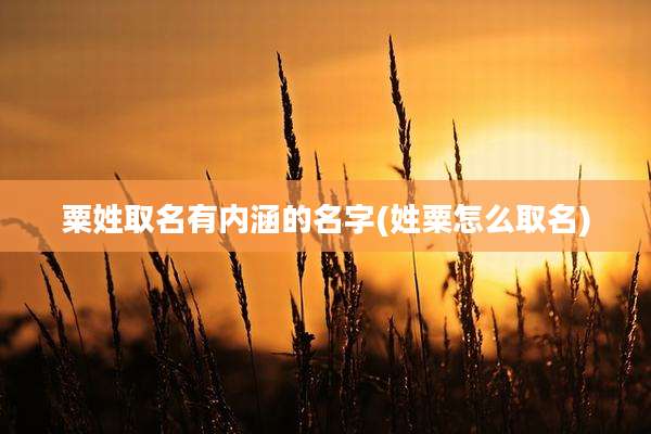 粟姓取名有内涵的名字(姓粟怎么取名)