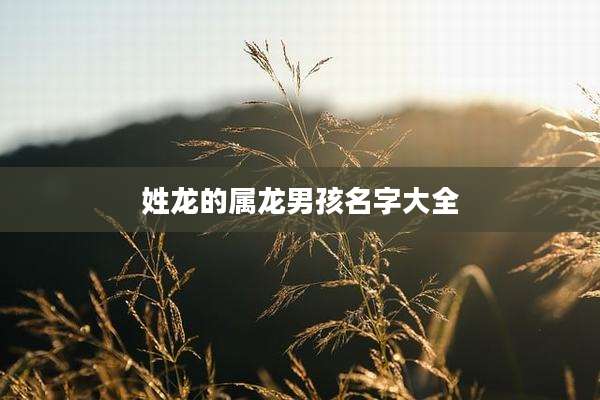 姓龙的属龙男孩名字大全