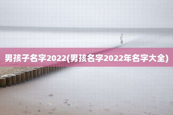 男孩子名字2022(男孩名字2022年名字大全)