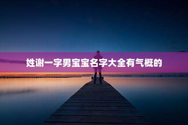 姓谢一字男宝宝名字大全有气概的