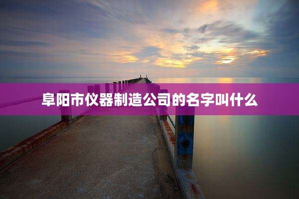 阜阳市仪器制造公司的名字叫什么