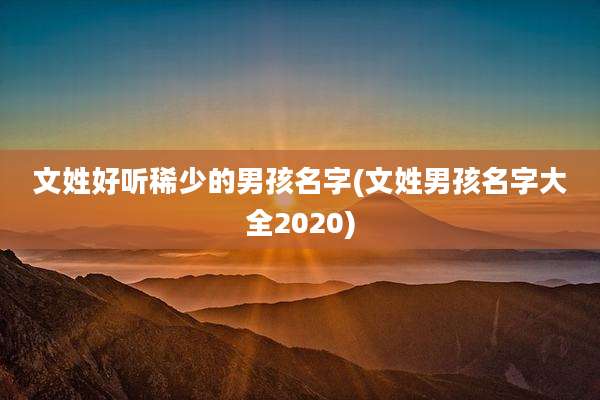 文姓好听稀少的男孩名字(文姓男孩名字大全2020)