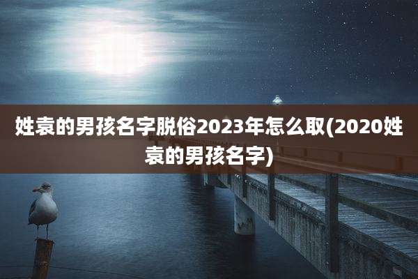 姓袁的男孩名字脱俗2023年怎么取(2020姓袁的男孩名字)