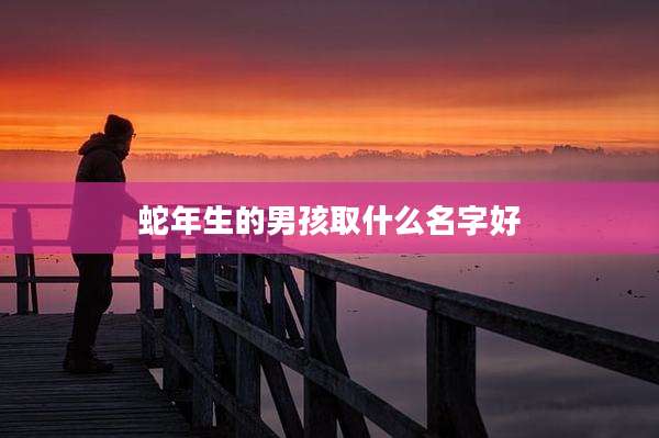 蛇年生的男孩取什么名字好