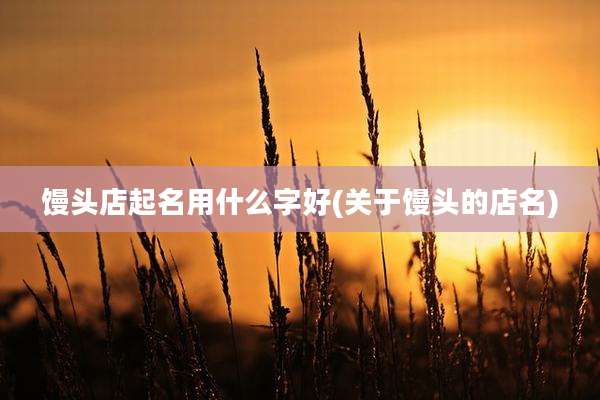 馒头店起名用什么字好(关于馒头的店名)