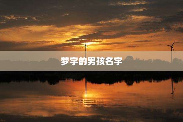 梦字的男孩名字