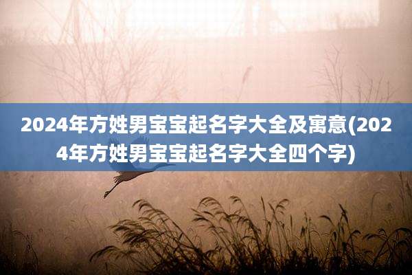 2024年方姓男宝宝起名字大全及寓意(2024年方姓男宝宝起名字大全四个字)
