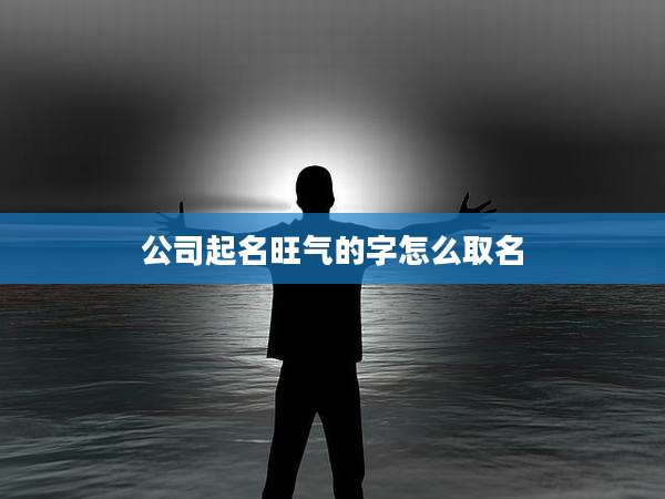 公司起名旺气的字怎么取名