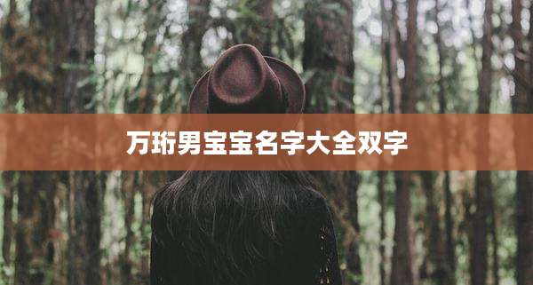 万珩男宝宝名字大全双字
