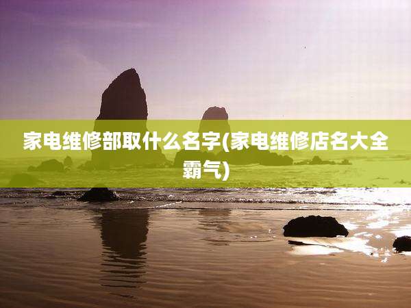 家电维修部取什么名字(家电维修店名大全霸气)