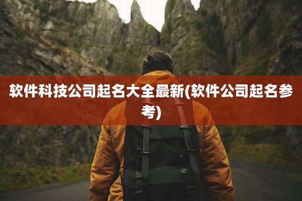 软件科技公司起名大全最新(软件公司起名参考)