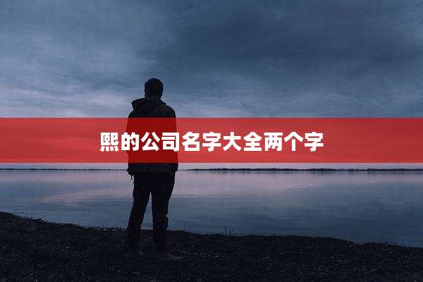 熙的公司名字大全两个字