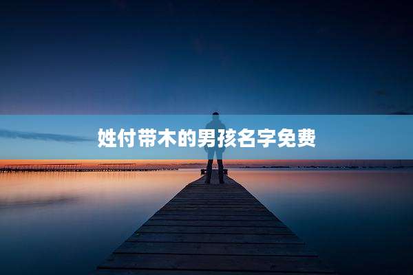 姓付带木的男孩名字免费