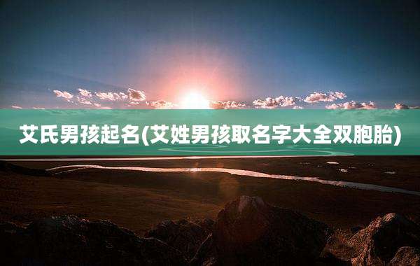 艾氏男孩起名(艾姓男孩取名字大全双胞胎)