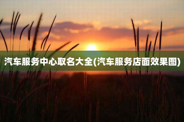 汽车服务中心取名大全(汽车服务店面效果图)