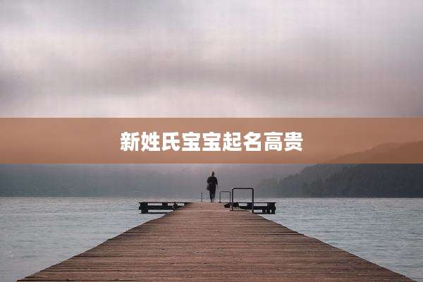 新姓氏宝宝起名高贵