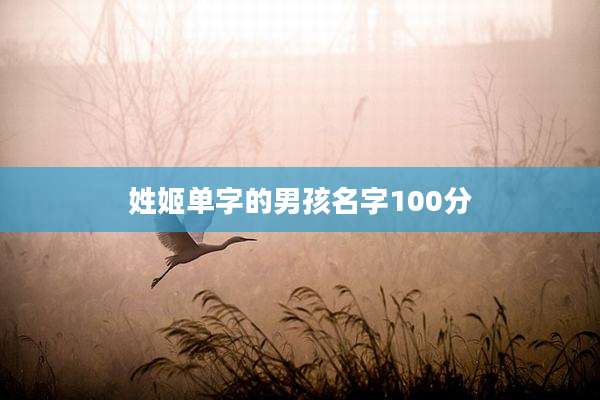 姓姬单字的男孩名字100分
