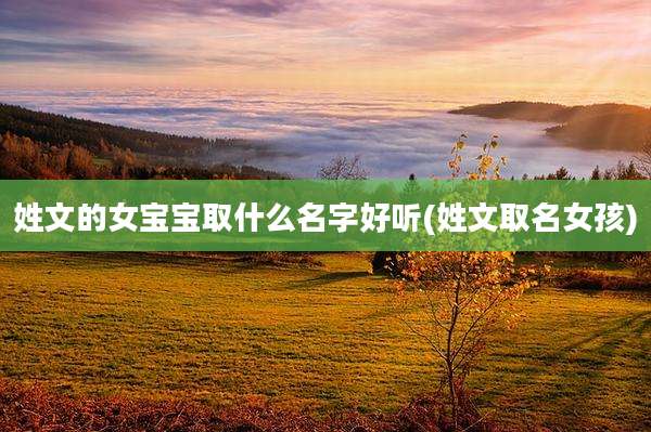 姓文的女宝宝取什么名字好听(姓文取名女孩)