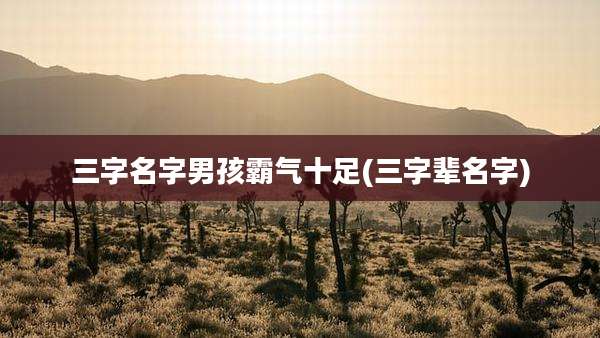 三字名字男孩霸气十足(三字辈名字)