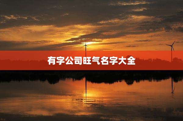 有字公司旺气名字大全