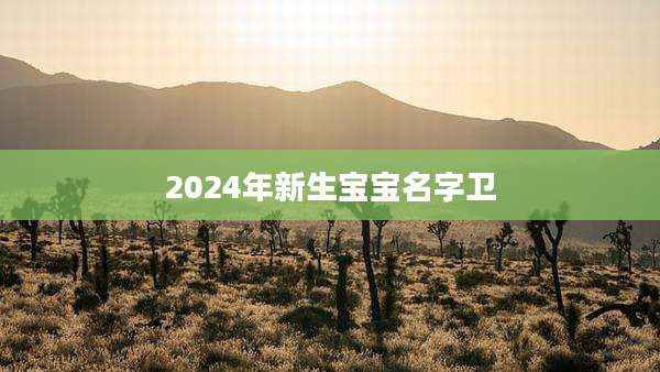 2024年新生宝宝名字卫