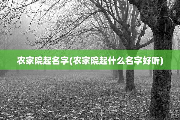 农家院起名字(农家院起什么名字好听)