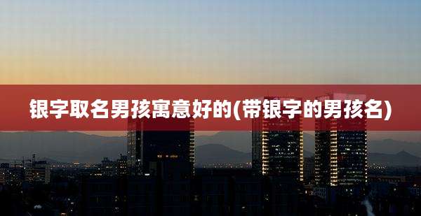 银字取名男孩寓意好的(带银字的男孩名)
