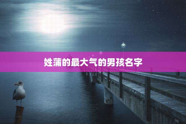 姓蒲的最大气的男孩名字