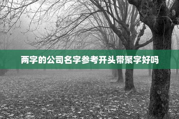 两字的公司名字参考开头带聚字好吗