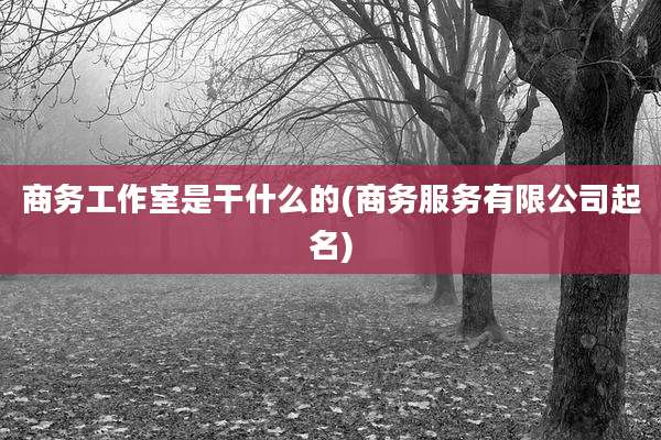 商务工作室是干什么的(商务服务有限公司起名)