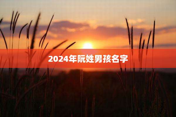 2024年阮姓男孩名字
