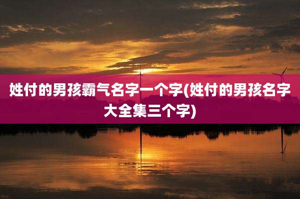 姓付的男孩霸气名字一个字(姓付的男孩名字大全集三个字)