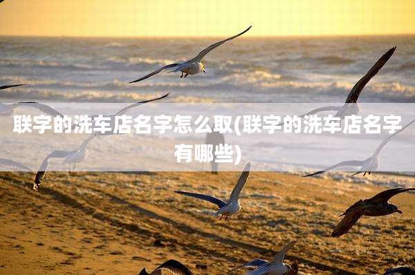联字的洗车店名字怎么取(联字的洗车店名字有哪些)