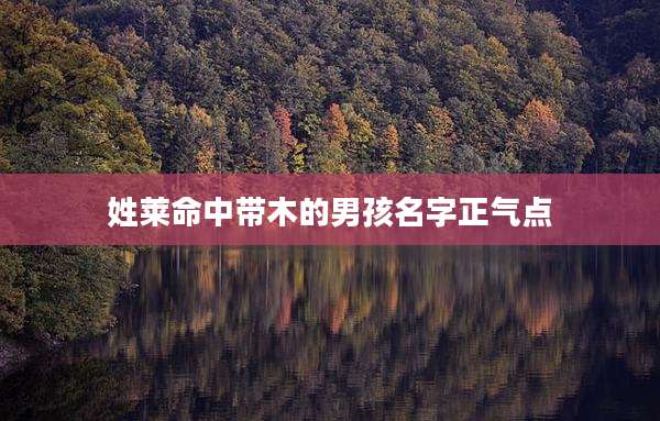 姓莱命中带木的男孩名字正气点
