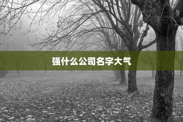 强什么公司名字大气