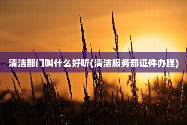 清洁部门叫什么好听(清洁服务部证件办理)