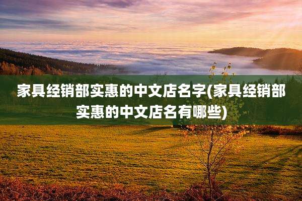家具经销部实惠的中文店名字(家具经销部实惠的中文店名有哪些)