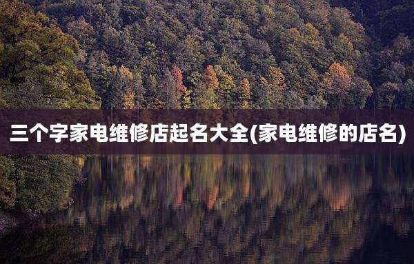 三个字家电维修店起名大全(家电维修的店名)
