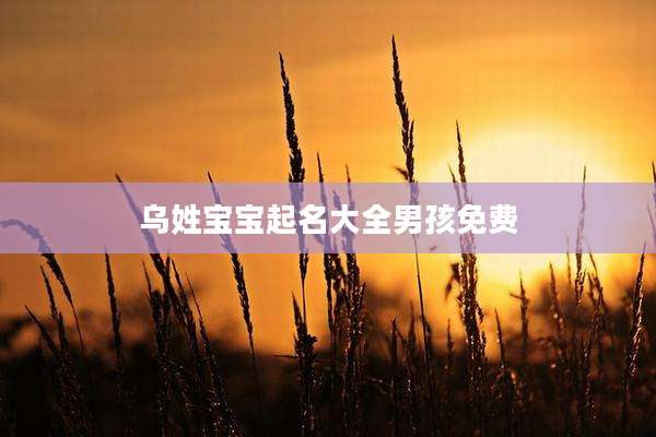 乌姓宝宝起名大全男孩免费