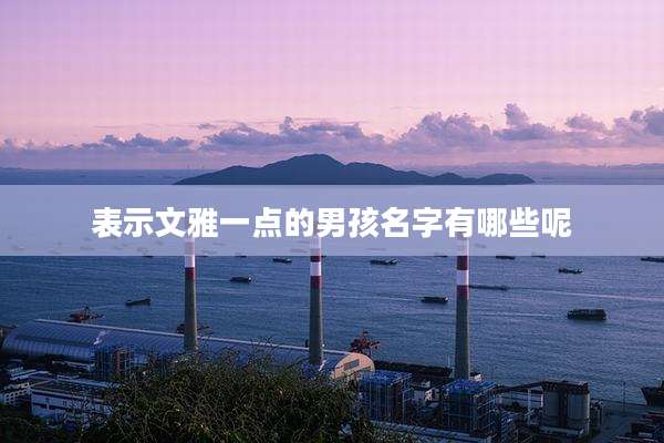 表示文雅一点的男孩名字有哪些呢