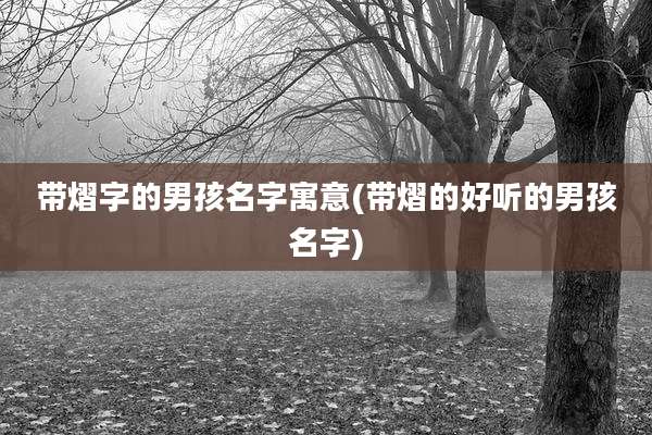 带熠字的男孩名字寓意(带熠的好听的男孩名字)
