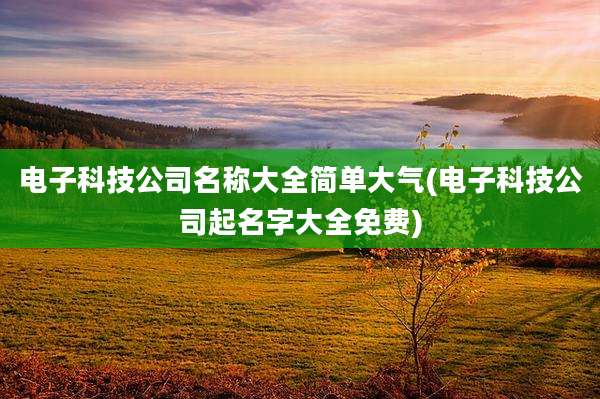 电子科技公司名称大全简单大气(电子科技公司起名字大全免费)