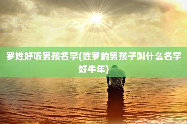 罗姓好听男孩名字(姓罗的男孩子叫什么名字好牛年)