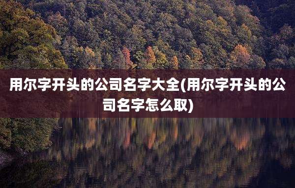 用尔字开头的公司名字大全(用尔字开头的公司名字怎么取)