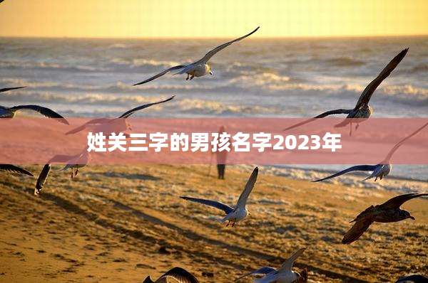 姓关三字的男孩名字2023年
