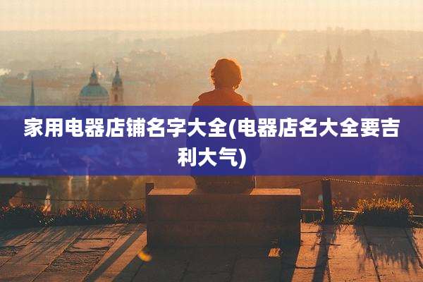 家用电器店铺名字大全(电器店名大全要吉利大气)